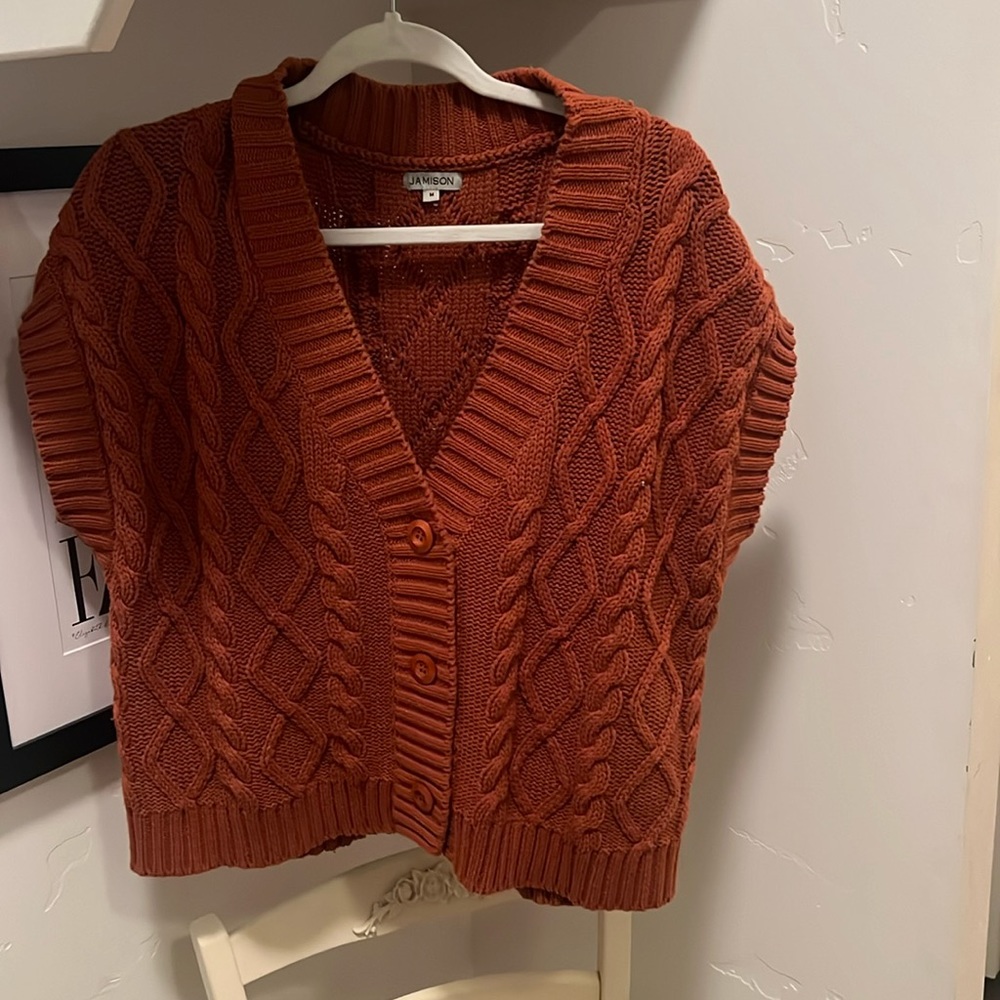 Rust button up sweater vest